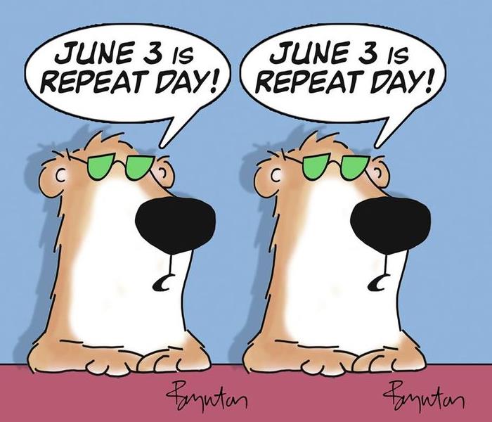 Cartoon of two bears saying it's National Repeat Day