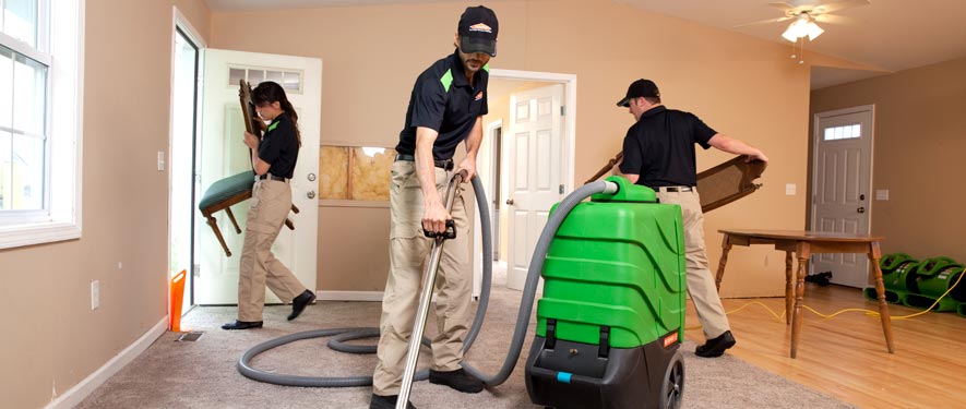 Appleton, WI cleaning services